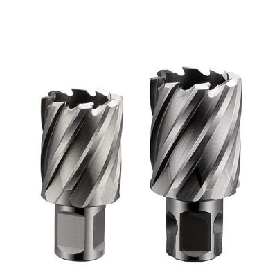 Harga yang bagus Magnetic Drill HSS Ringlar Cutters 50mm Cutting Depth Universal Shank Ringlar Cutter Carbide daring