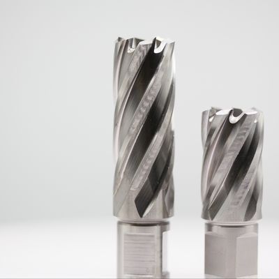 Harga yang bagus 22mm*30mm HSS Magnetic Drill Cutter Ringlar 30mm Cutting Depth Weldon Shank daring