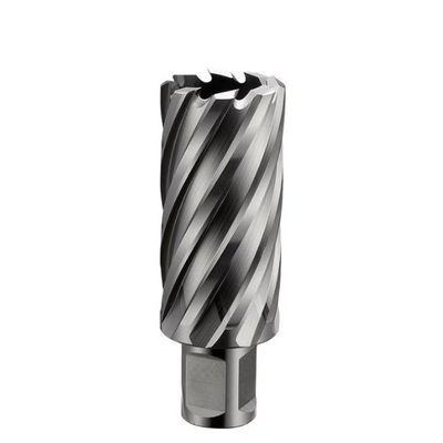 Harga yang bagus 50mm Depth Spiral Bright HSS Ringlar Cutter Bright High Precision Ringlar Hole Cutter daring